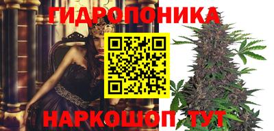 МДМА Пенза