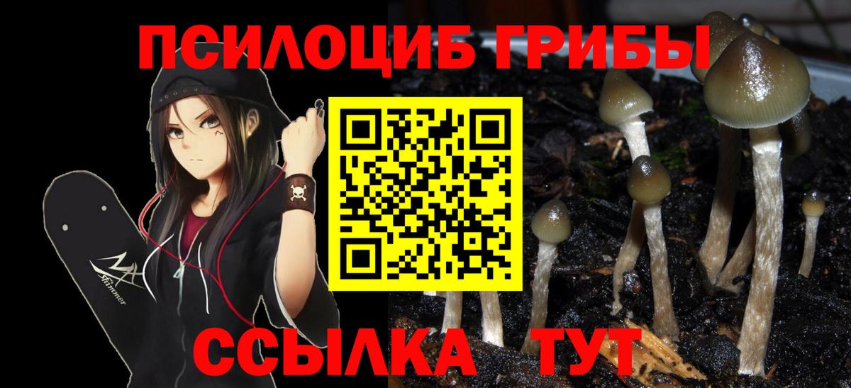 Галлюциногенные грибы Magic Shrooms Заречный